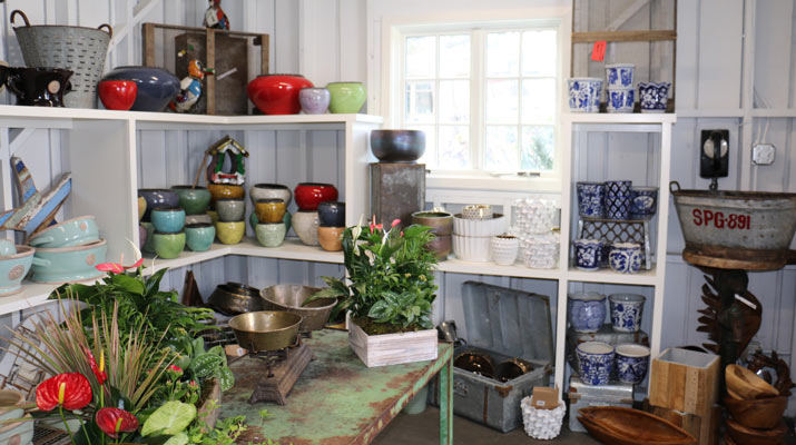 colorful pots on shelves at carlmont village shopping center
